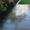 Fulwell Landscapes